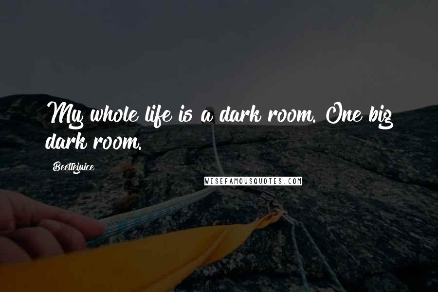 Beetlejuice Quotes: My whole life is a dark room. One big dark room.