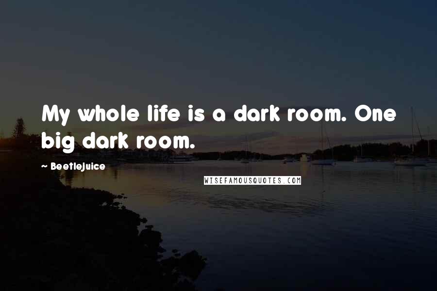 Beetlejuice Quotes: My whole life is a dark room. One big dark room.