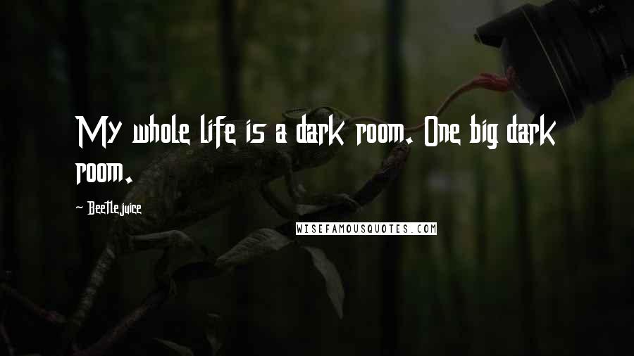 Beetlejuice Quotes: My whole life is a dark room. One big dark room.