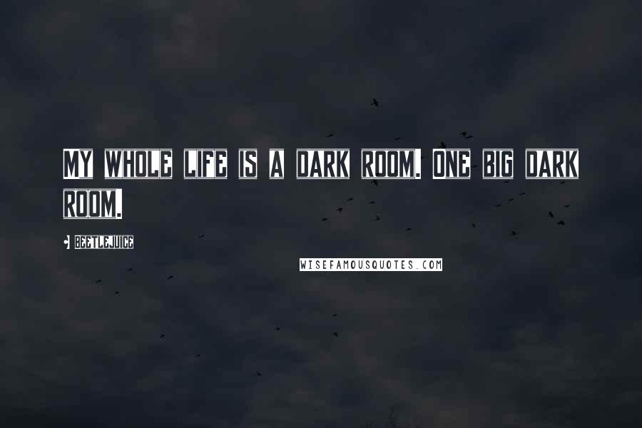 Beetlejuice Quotes: My whole life is a dark room. One big dark room.