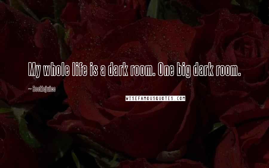 Beetlejuice Quotes: My whole life is a dark room. One big dark room.