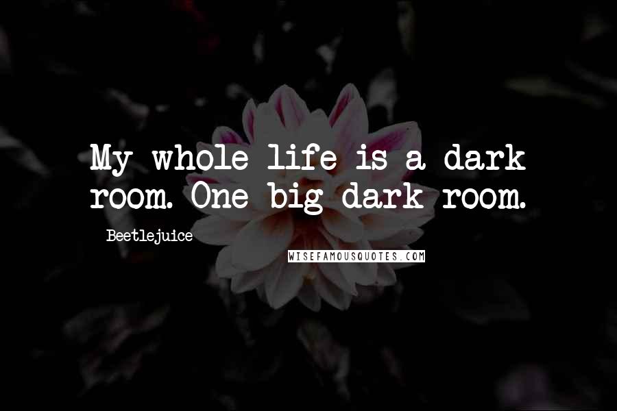 Beetlejuice Quotes: My whole life is a dark room. One big dark room.