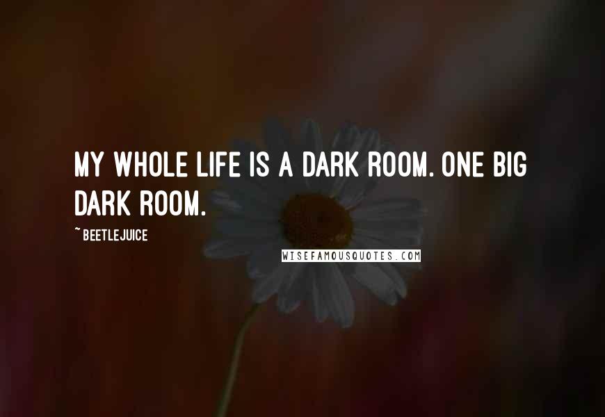 Beetlejuice Quotes: My whole life is a dark room. One big dark room.