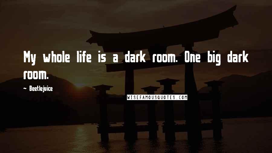 Beetlejuice Quotes: My whole life is a dark room. One big dark room.