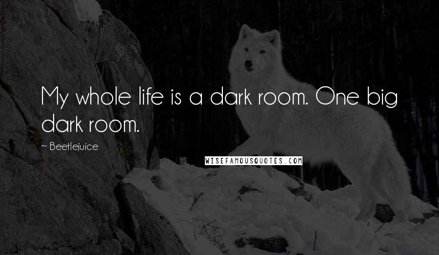 Beetlejuice Quotes: My whole life is a dark room. One big dark room.