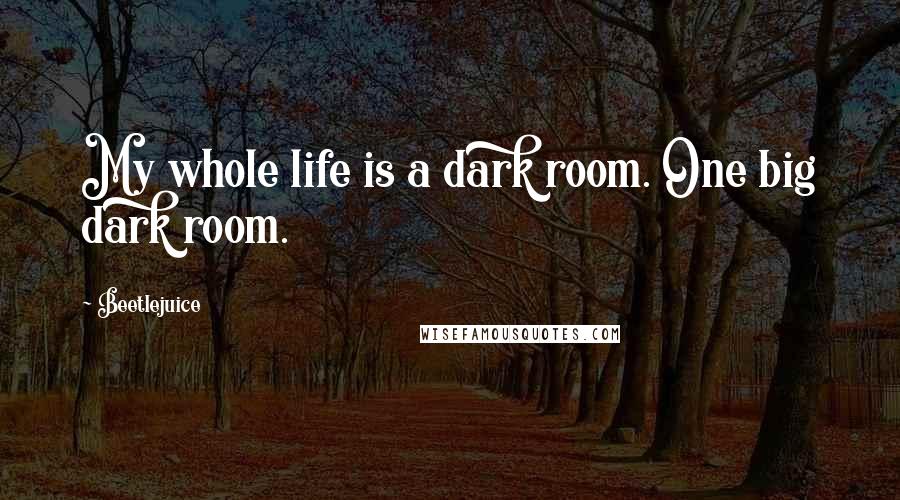 Beetlejuice Quotes: My whole life is a dark room. One big dark room.