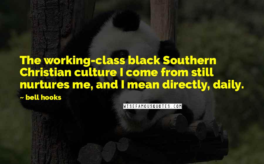 Bell Hooks Quotes: The working-class black Southern Christian culture I come from still nurtures me, and I mean directly, daily.