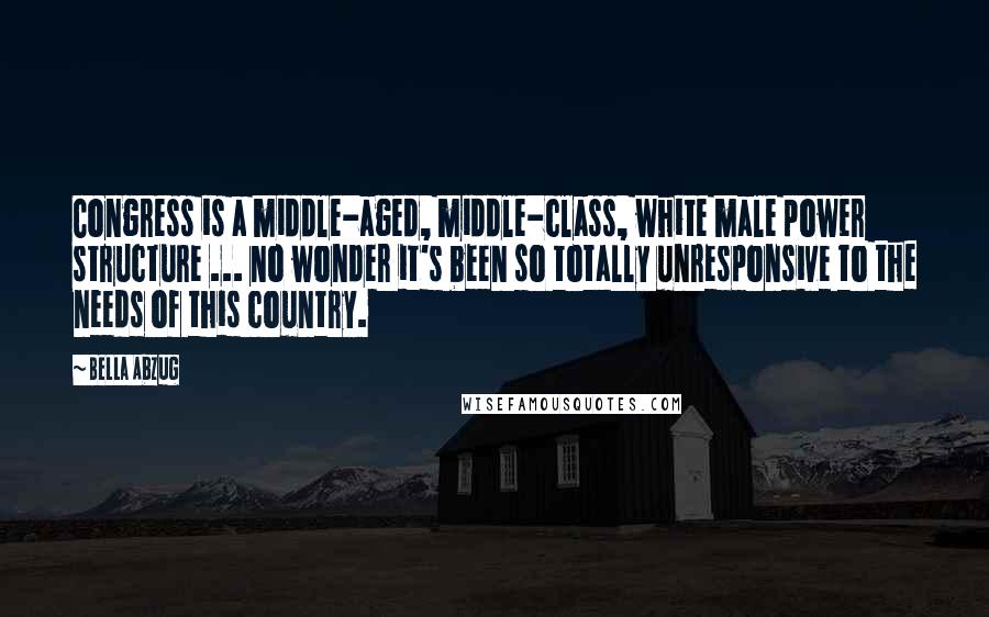 Bella Abzug Quotes: Congress is a middle-aged, middle-class, white male power structure ... no wonder it's been so totally unresponsive to the needs of this country.