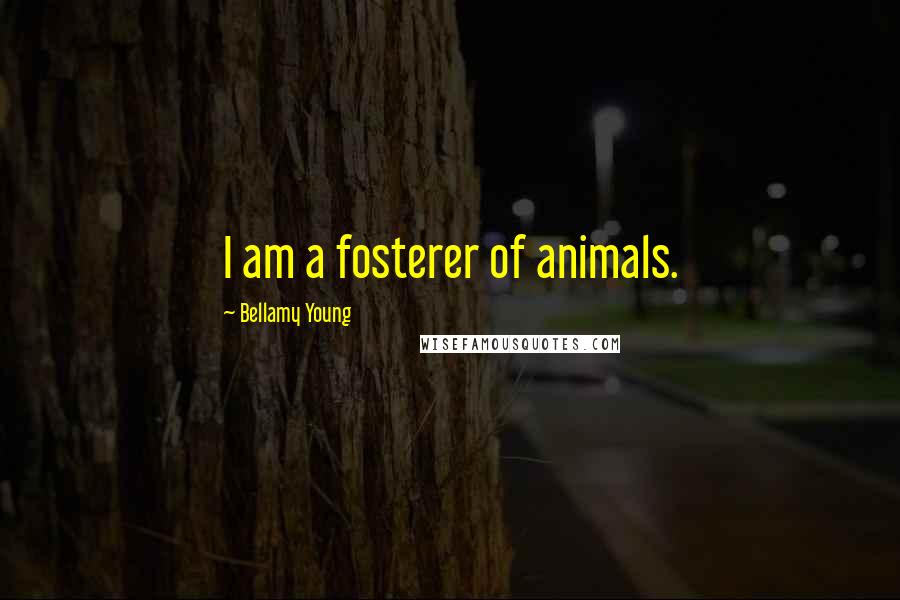 Bellamy Young Quotes: I am a fosterer of animals.