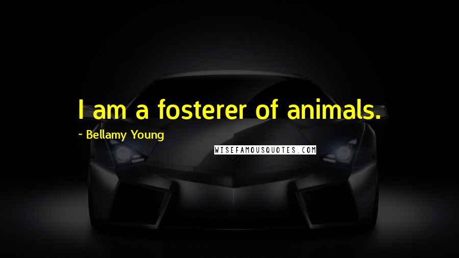 Bellamy Young Quotes: I am a fosterer of animals.