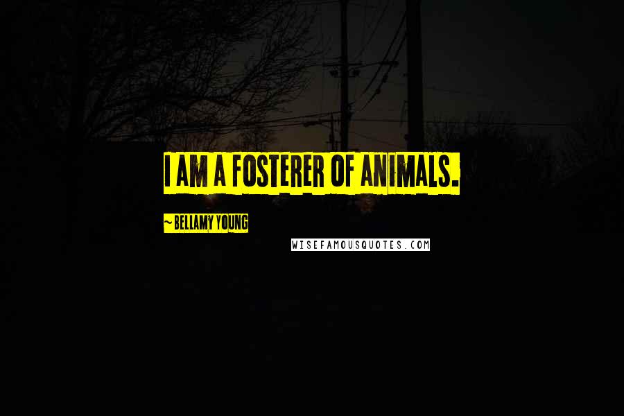 Bellamy Young Quotes: I am a fosterer of animals.