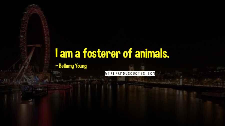Bellamy Young Quotes: I am a fosterer of animals.