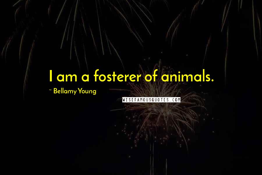 Bellamy Young Quotes: I am a fosterer of animals.