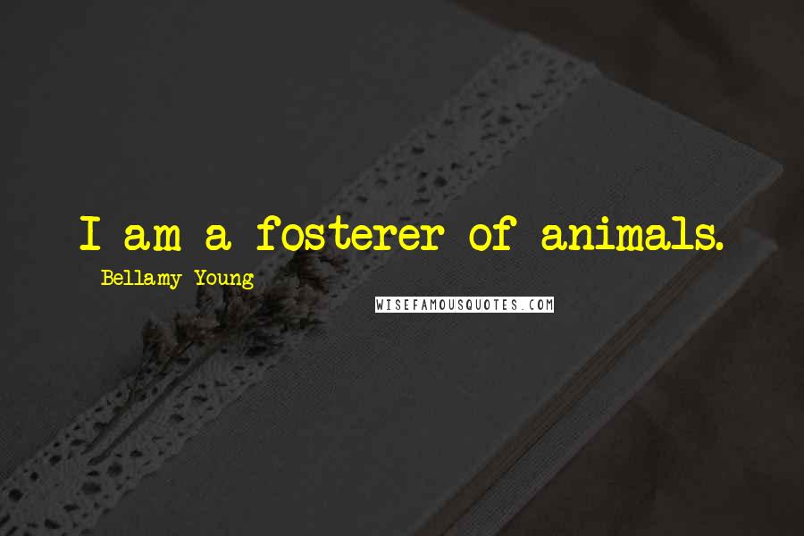 Bellamy Young Quotes: I am a fosterer of animals.