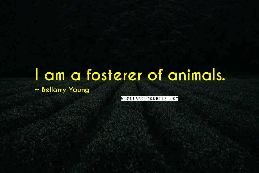 Bellamy Young Quotes: I am a fosterer of animals.