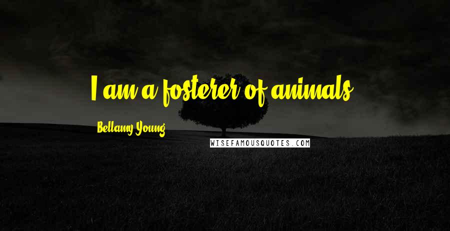 Bellamy Young Quotes: I am a fosterer of animals.