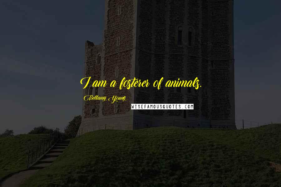 Bellamy Young Quotes: I am a fosterer of animals.