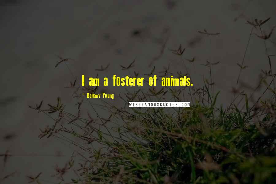 Bellamy Young Quotes: I am a fosterer of animals.