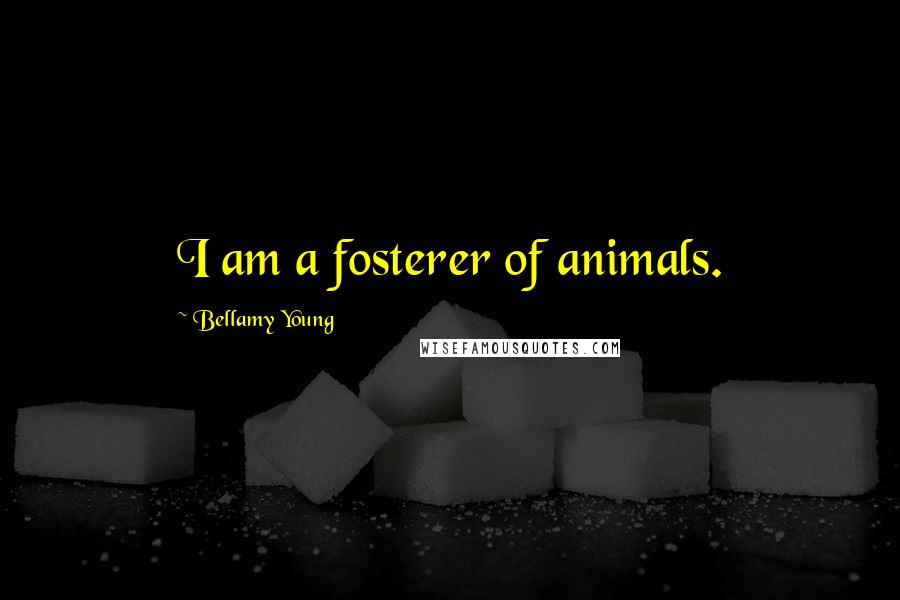 Bellamy Young Quotes: I am a fosterer of animals.