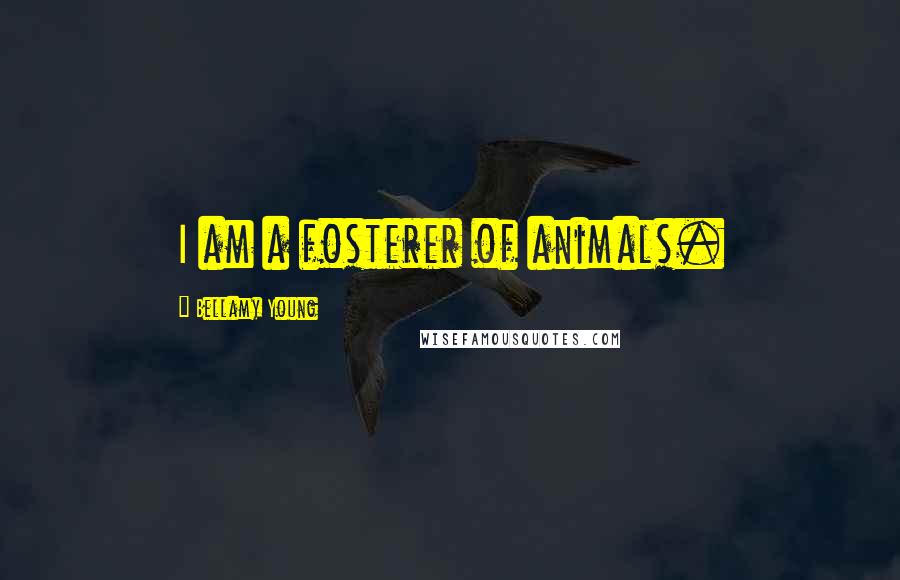 Bellamy Young Quotes: I am a fosterer of animals.