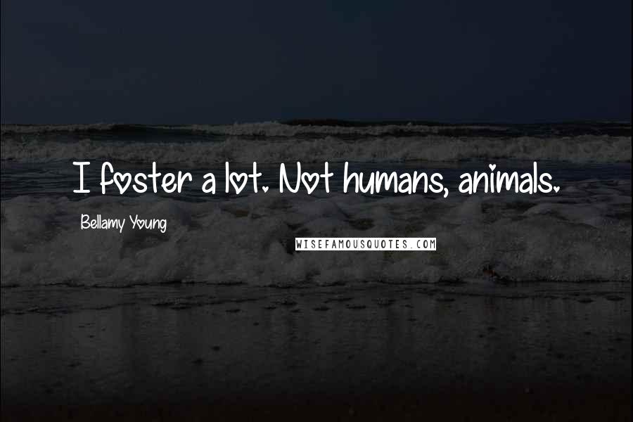 Bellamy Young Quotes: I foster a lot. Not humans, animals.