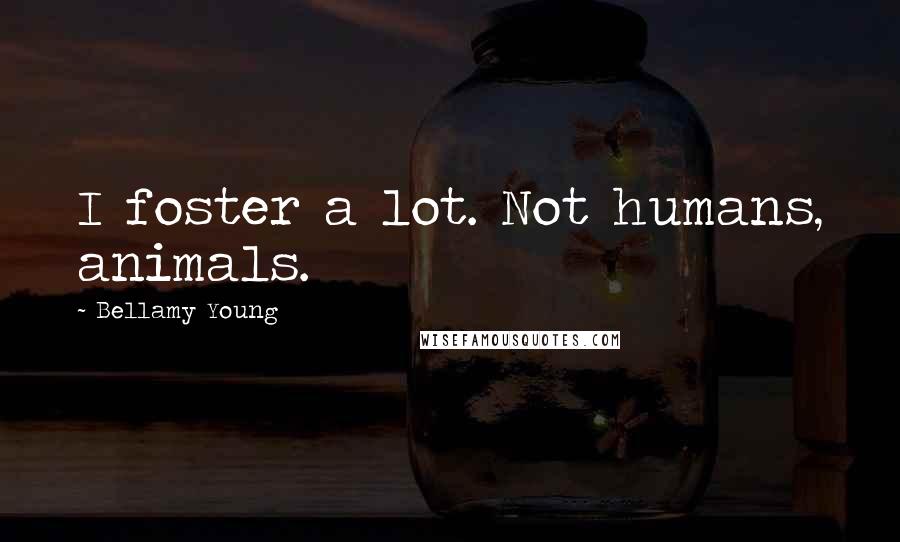 Bellamy Young Quotes: I foster a lot. Not humans, animals.