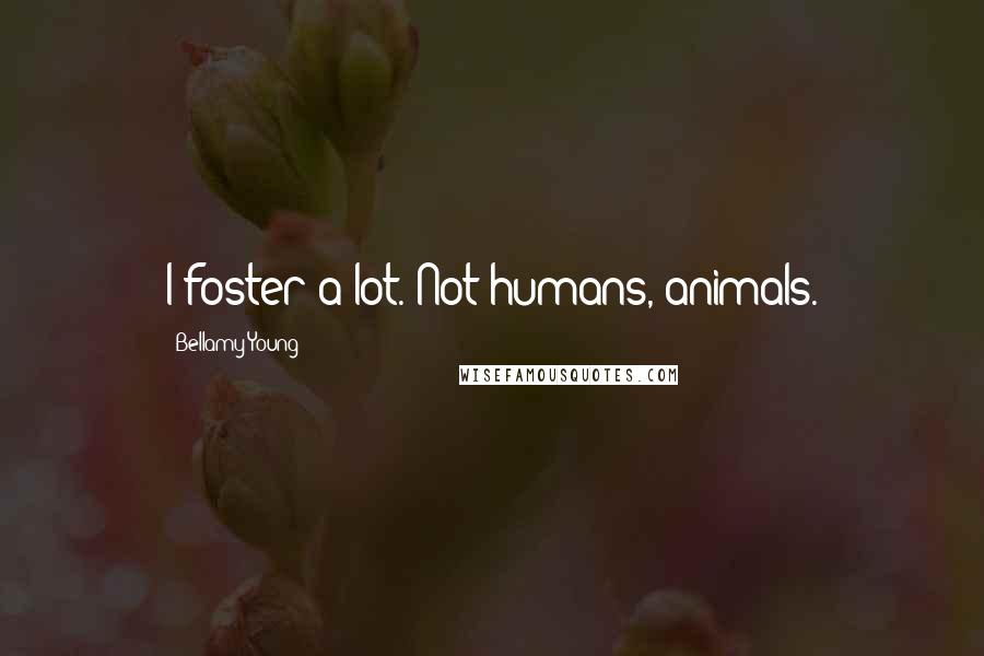 Bellamy Young Quotes: I foster a lot. Not humans, animals.