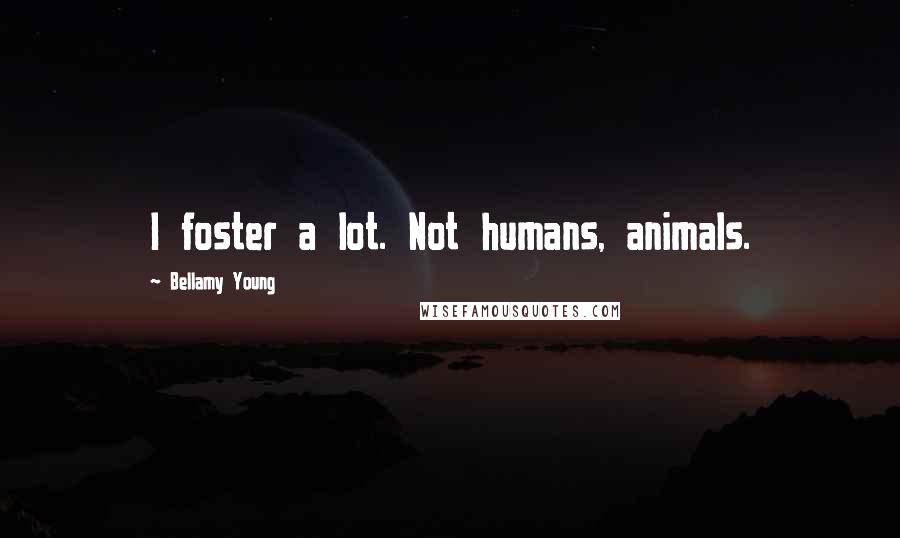 Bellamy Young Quotes: I foster a lot. Not humans, animals.