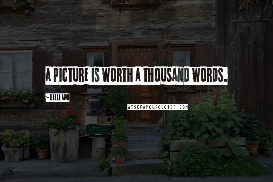 Belle Ami Quotes: a picture is worth a thousand words.