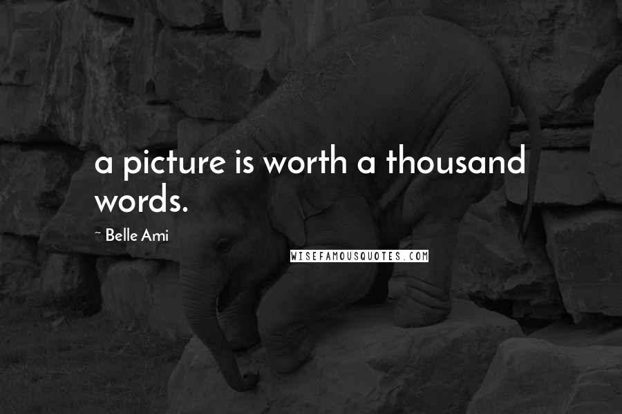 Belle Ami Quotes: a picture is worth a thousand words.