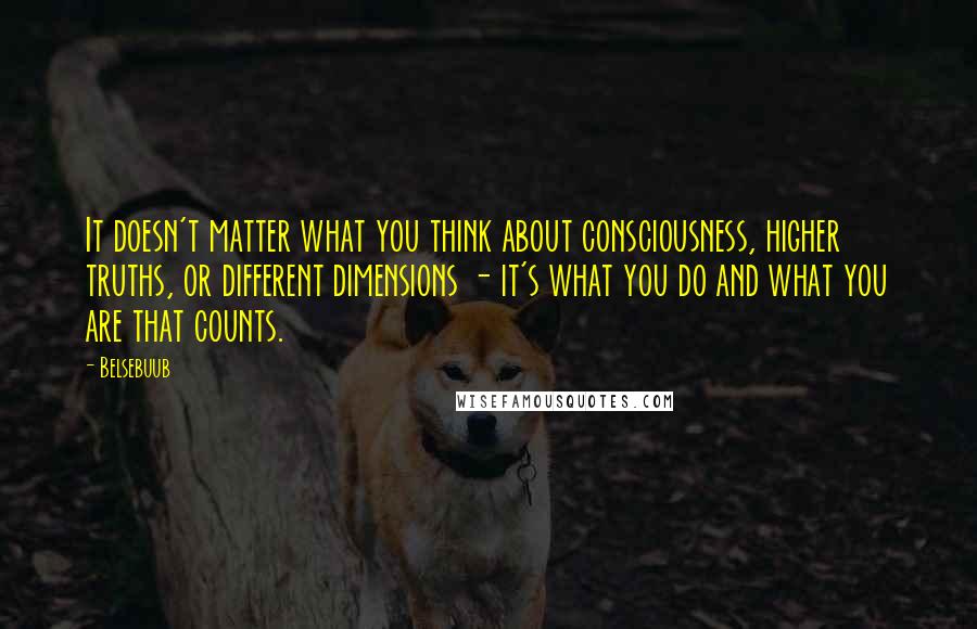 Belsebuub Quotes: It doesn't matter what you think about consciousness, higher truths, or different dimensions - it's what you do and what you are that counts.