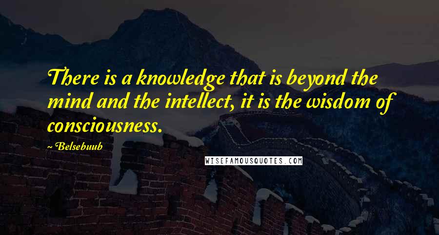 Belsebuub Quotes: There is a knowledge that is beyond the mind and the intellect, it is the wisdom of consciousness.