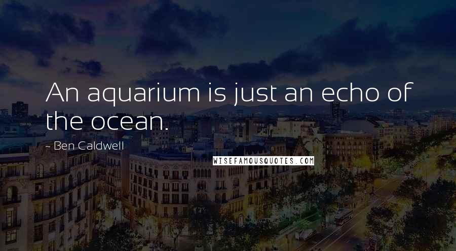 Ben Caldwell Quotes: An aquarium is just an echo of the ocean.
