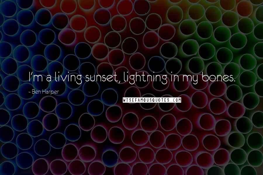 Ben Harper Quotes: I'm a living sunset, lightning in my bones.