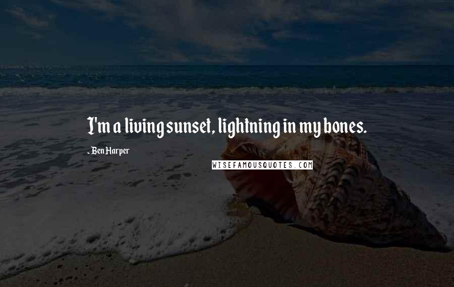 Ben Harper Quotes: I'm a living sunset, lightning in my bones.