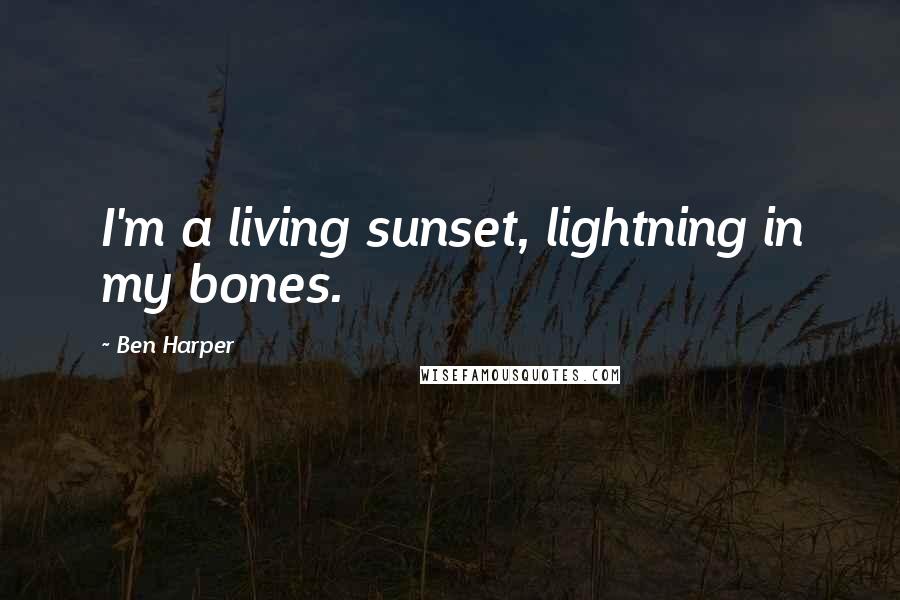 Ben Harper Quotes: I'm a living sunset, lightning in my bones.