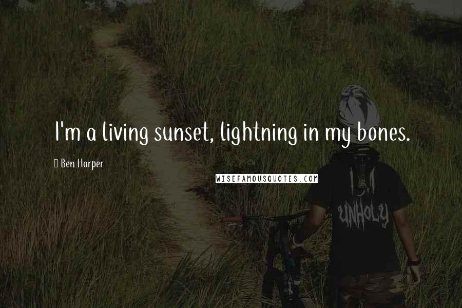 Ben Harper Quotes: I'm a living sunset, lightning in my bones.