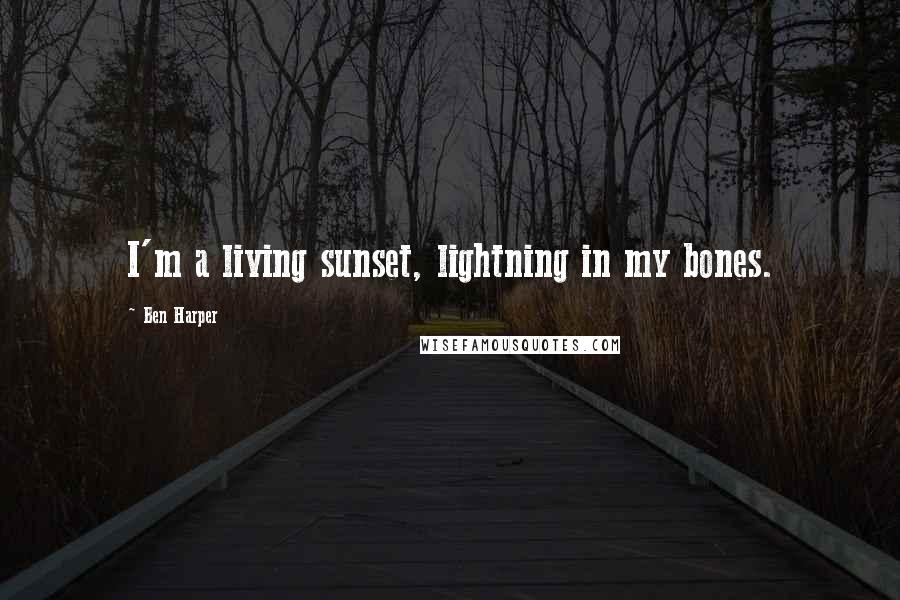 Ben Harper Quotes: I'm a living sunset, lightning in my bones.
