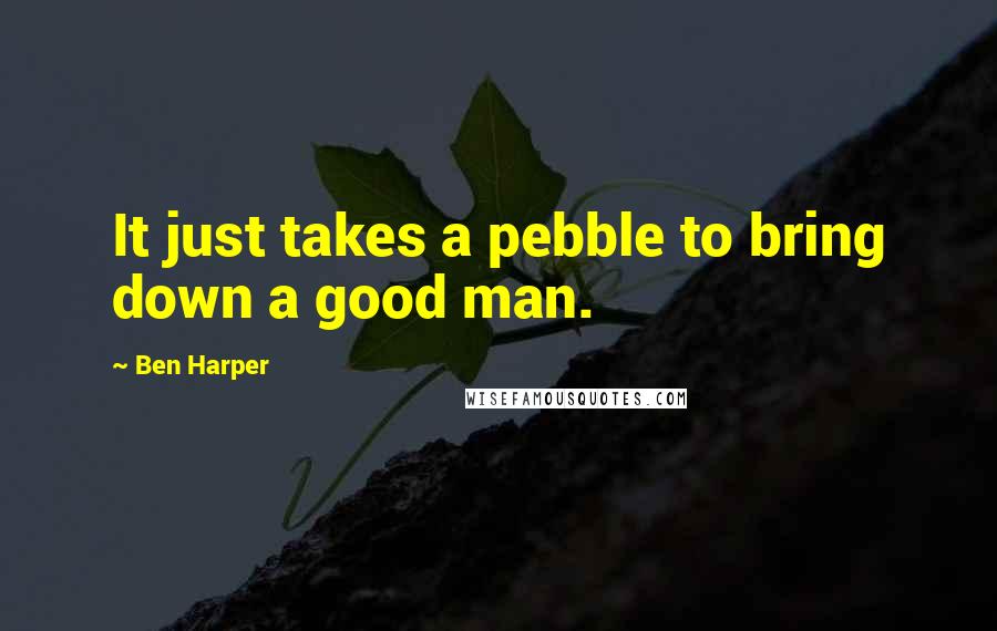 Ben Harper Quotes: It just takes a pebble to bring down a good man.