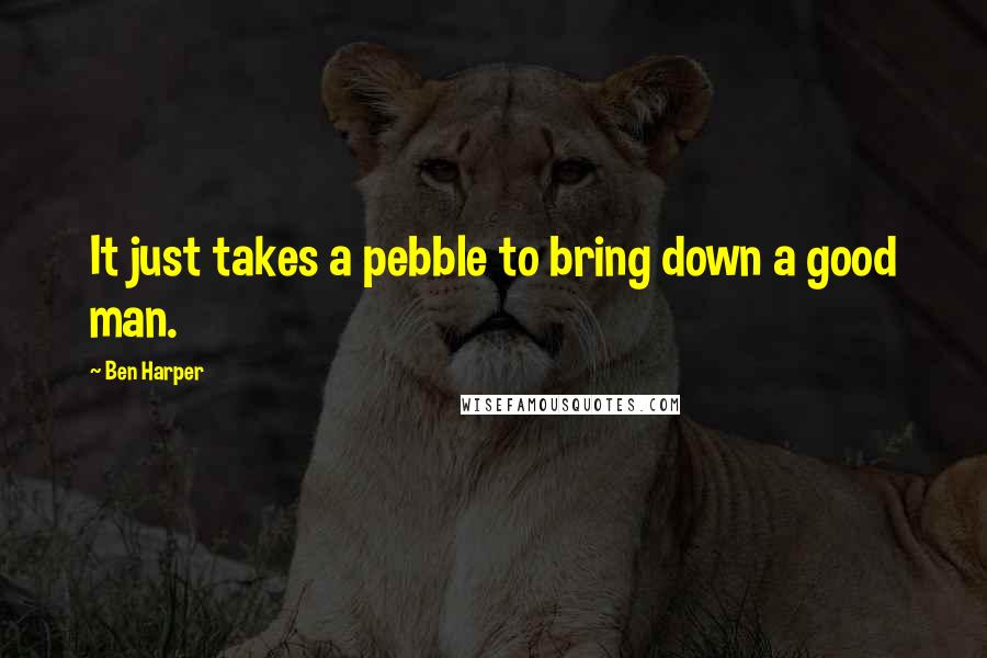 Ben Harper Quotes: It just takes a pebble to bring down a good man.