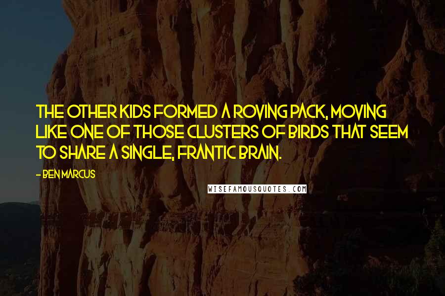 Ben Marcus Quotes: The other kids formed a roving pack, moving like one of those clusters of birds that seem to share a single, frantic brain.