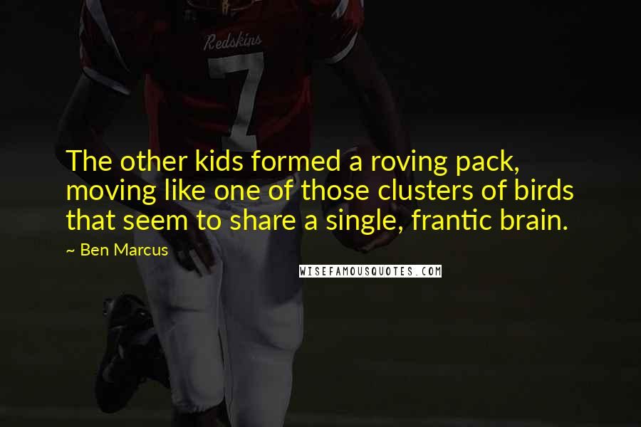 Ben Marcus Quotes: The other kids formed a roving pack, moving like one of those clusters of birds that seem to share a single, frantic brain.