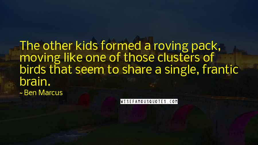 Ben Marcus Quotes: The other kids formed a roving pack, moving like one of those clusters of birds that seem to share a single, frantic brain.