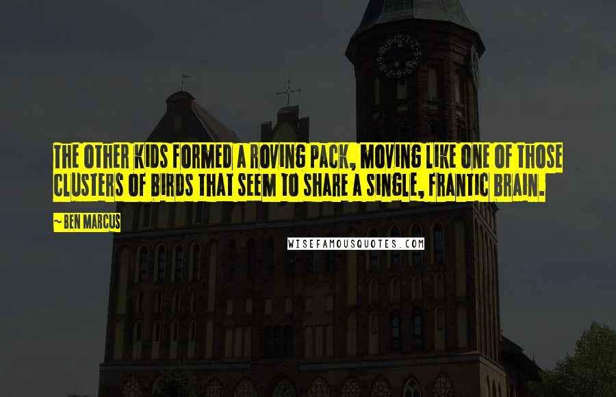 Ben Marcus Quotes: The other kids formed a roving pack, moving like one of those clusters of birds that seem to share a single, frantic brain.