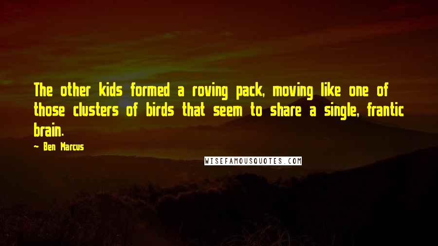 Ben Marcus Quotes: The other kids formed a roving pack, moving like one of those clusters of birds that seem to share a single, frantic brain.