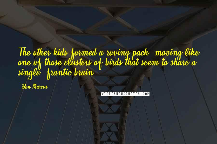 Ben Marcus Quotes: The other kids formed a roving pack, moving like one of those clusters of birds that seem to share a single, frantic brain.