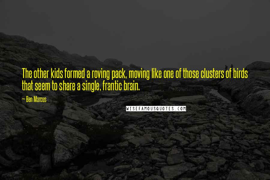 Ben Marcus Quotes: The other kids formed a roving pack, moving like one of those clusters of birds that seem to share a single, frantic brain.
