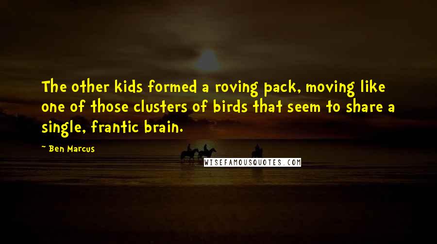 Ben Marcus Quotes: The other kids formed a roving pack, moving like one of those clusters of birds that seem to share a single, frantic brain.