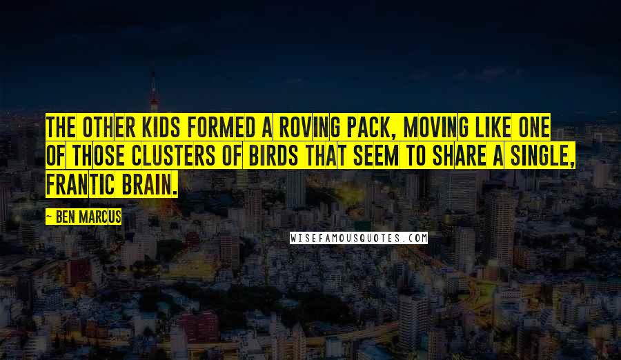 Ben Marcus Quotes: The other kids formed a roving pack, moving like one of those clusters of birds that seem to share a single, frantic brain.