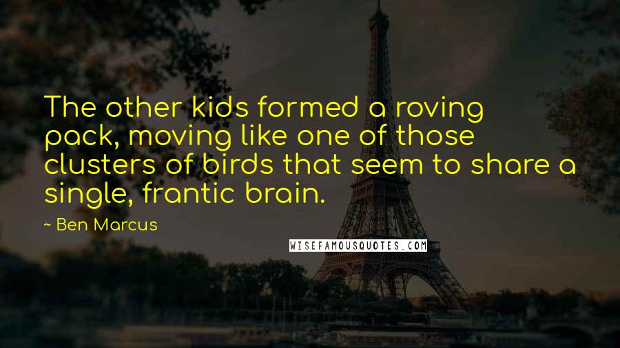 Ben Marcus Quotes: The other kids formed a roving pack, moving like one of those clusters of birds that seem to share a single, frantic brain.